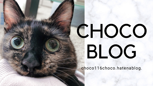 f:id:choco116choco:20210115132045p:plain