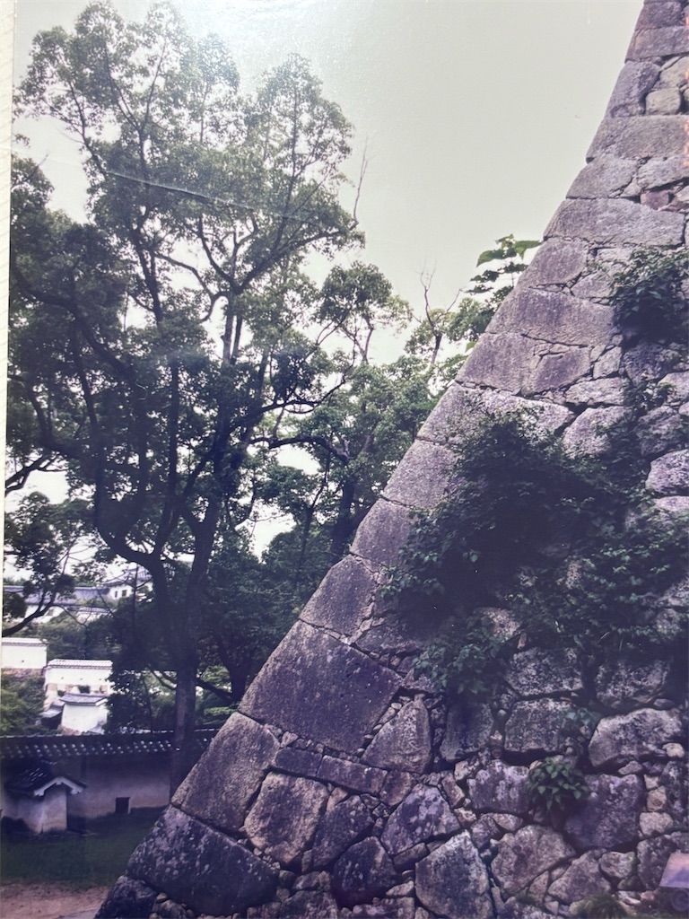 f:id:eririn-rin:20251218001339j:image