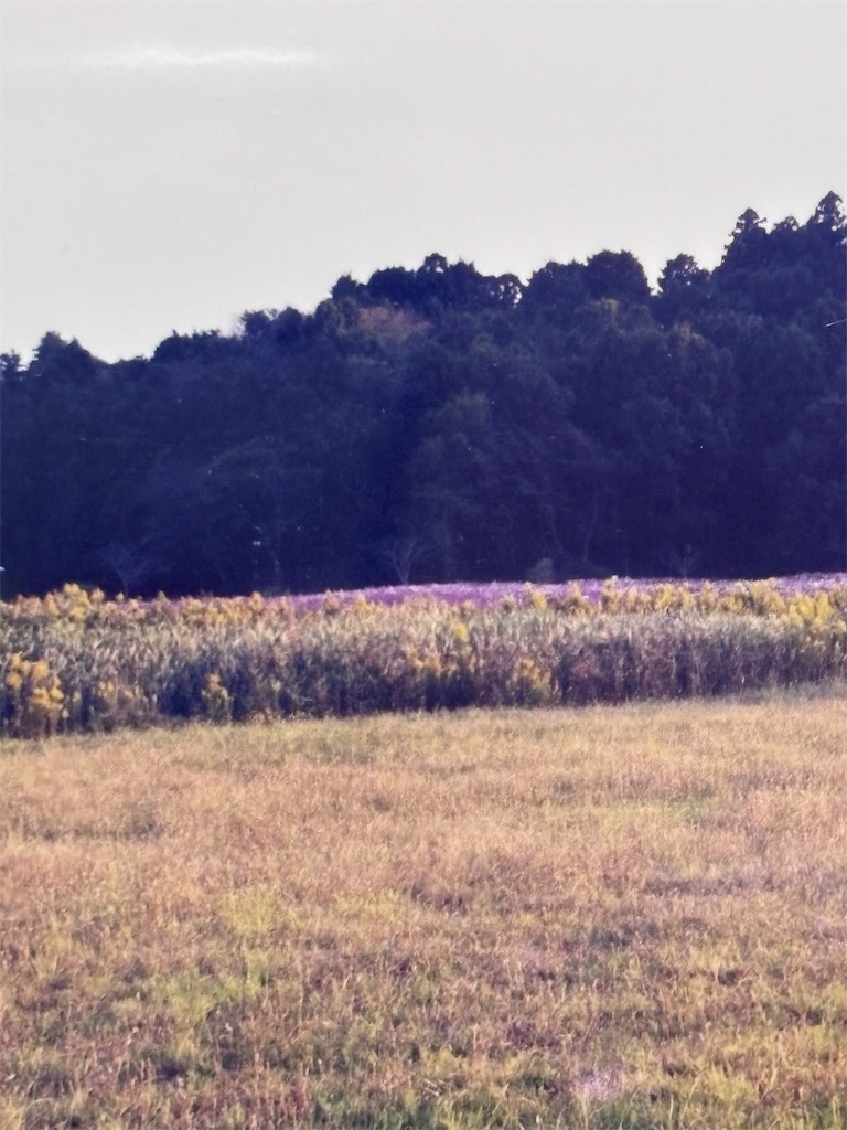 f:id:eririn-rin:20251225002531j:image f:id:eririn-rin:20251225002531j:image