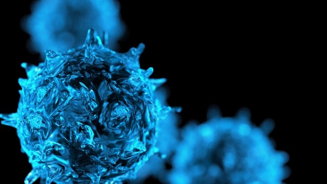 f:id:fukuitadashi:20251222145511j:image