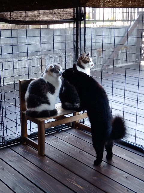 f:id:hikari1001tt:20220120140314j:image f:id:hikari1001tt:20220120140314j:image