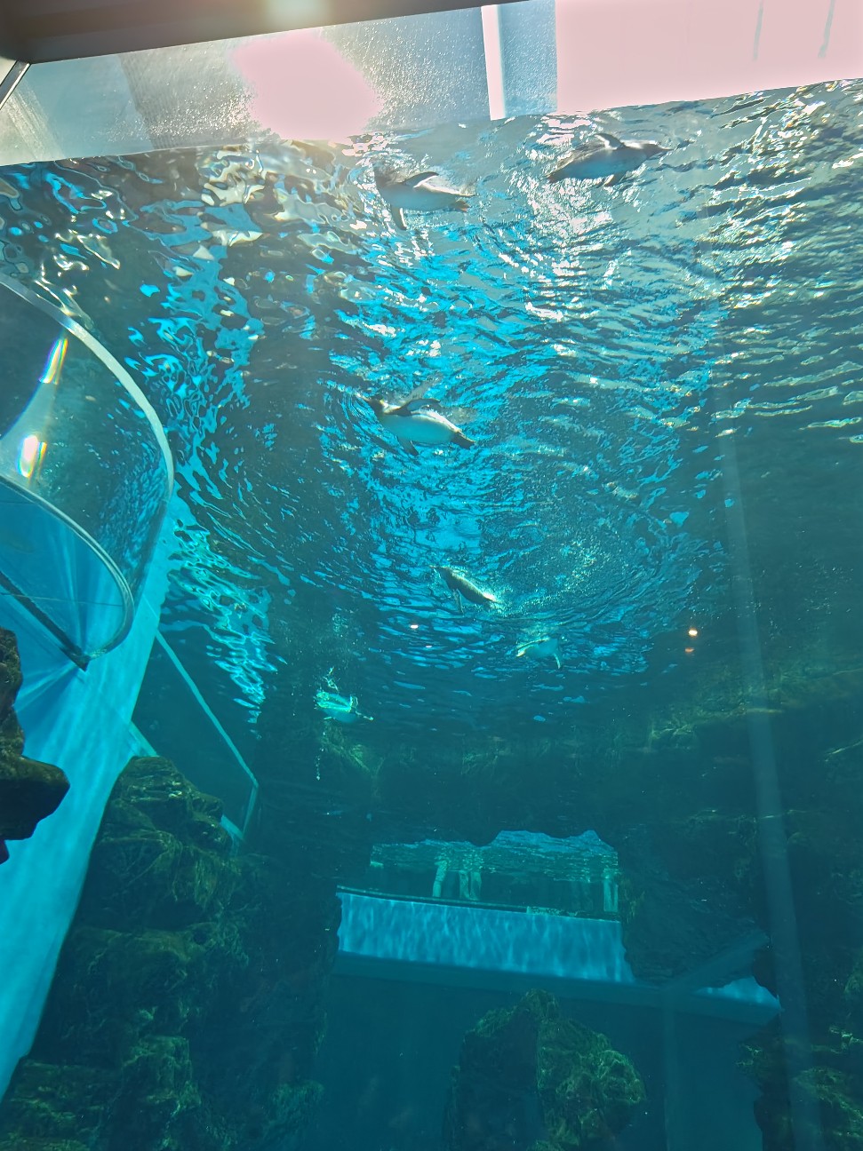 f:id:hoimicle:20251204110503j:image