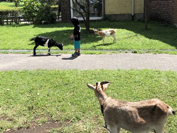 f:id:ikutanpapa:20190903114721j:plain f:id:ikutanpapa:20190903114721j:plain