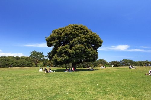 f:id:jranar:20130504215803j:image