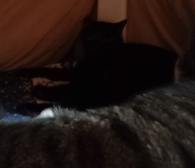 f:id:kagenogori:20251219061313j:image f:id:kagenogori:20251219061313j:image