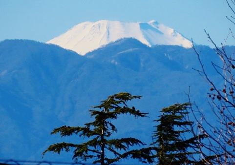 f:id:kanamankun:20220101162102j:plain