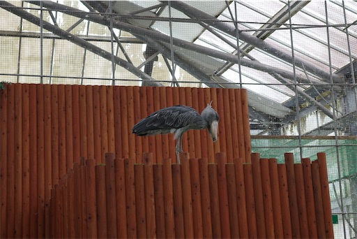 f:id:kayoroom557:20231105082356j:image