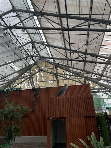 f:id:kayoroom557:20231105082427j:image