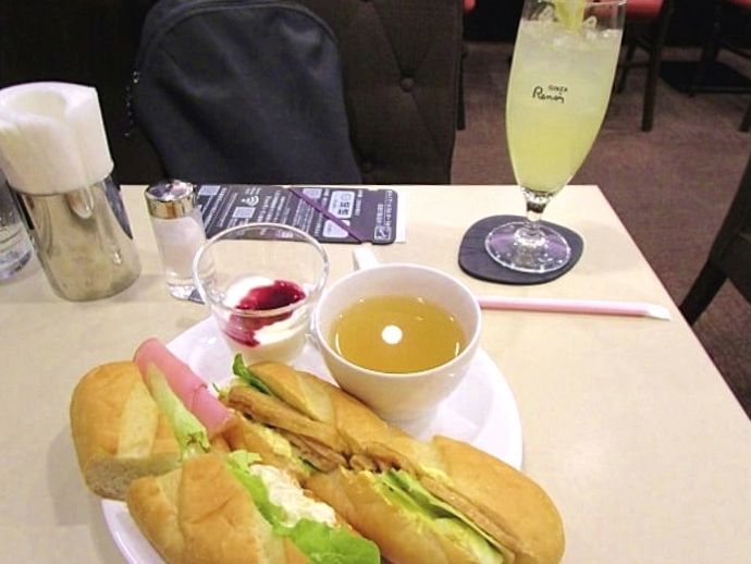 f:id:kedamatoriko:20200524063926j:plain