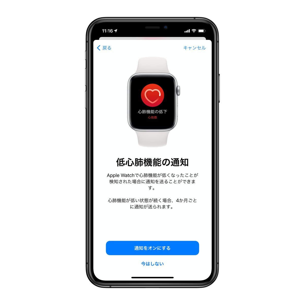 f:id:kobonemi:20201215114356p:plain