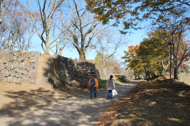 f:id:ksagi:20201110173312j:plain