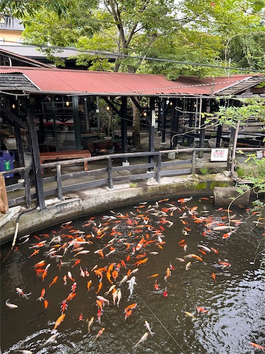 f:id:ksakmh:20250831094312j:image f:id:ksakmh:20250831094312j:image