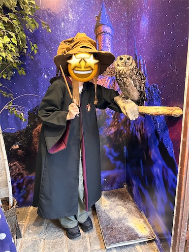 f:id:ksakmh:20251008190233j:image f:id:ksakmh:20251008190233j:image