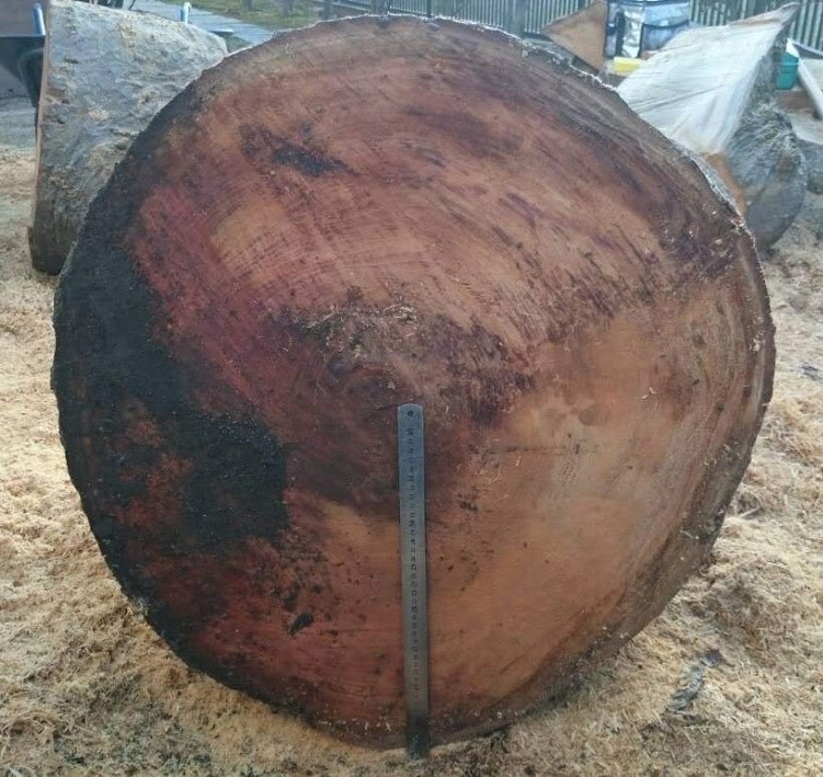 f:id:kutomi-church:20181116141200j:plain