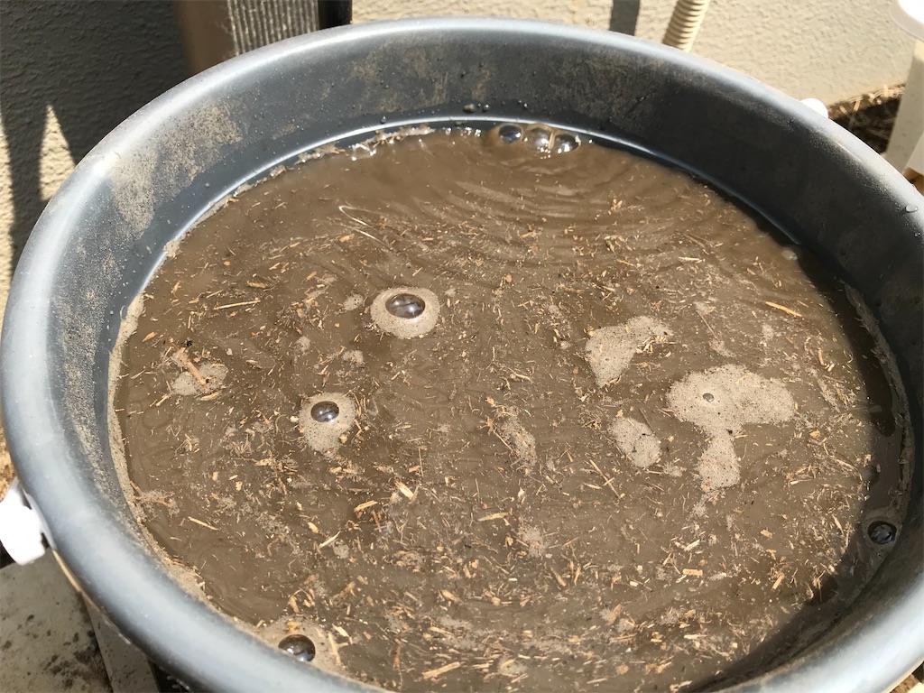 f:id:matundaba79:20200502104212j:image f:id:matundaba79:20200502104212j:image