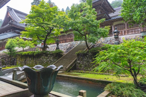 f:id:mikasako176:20220115220700j:plain