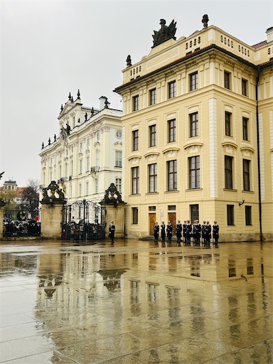 f:id:mimimomorie:20251211164132j:image f:id:mimimomorie:20251211164132j:image