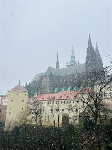 f:id:mimimomorie:20251211183528j:image