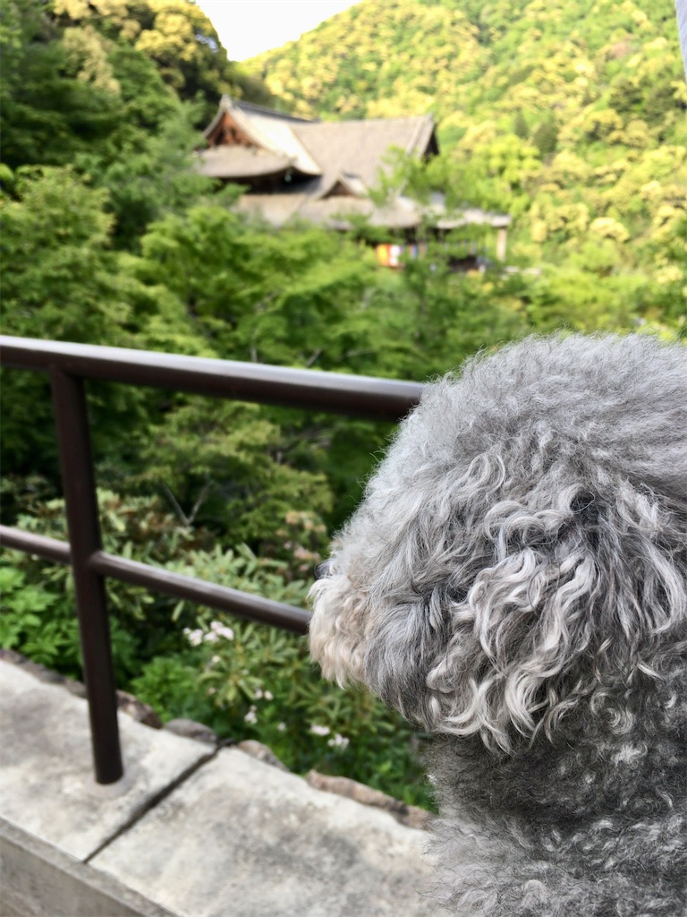 f:id:minghuabj:20221024001353j:image f:id:minghuabj:20221024001353j:image