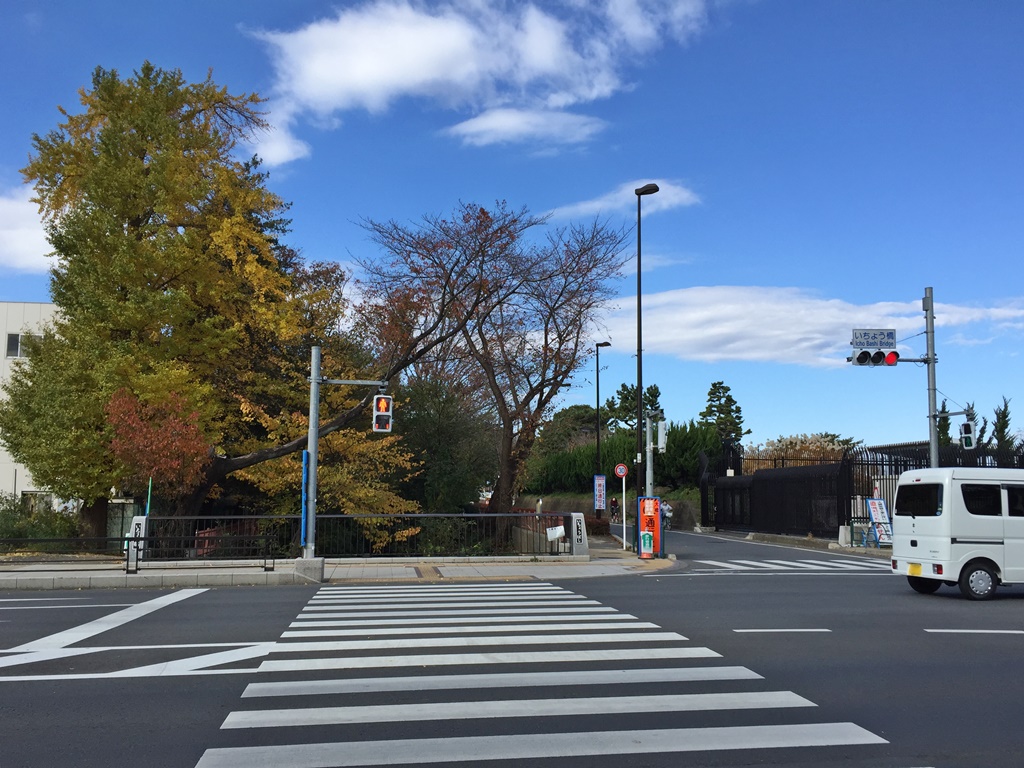 f:id:miwa3k:20161205192818j:plain