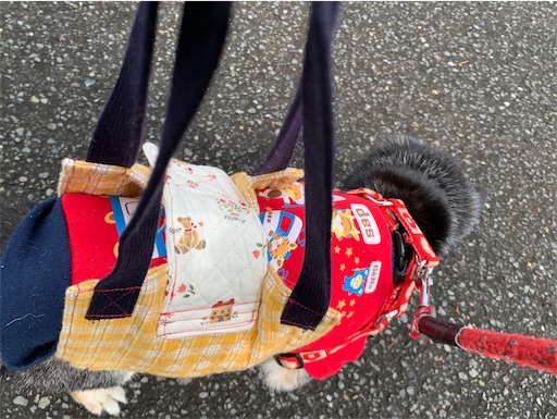 f:id:morinobanana:20201002003344j:image f:id:morinobanana:20201002003344j:image