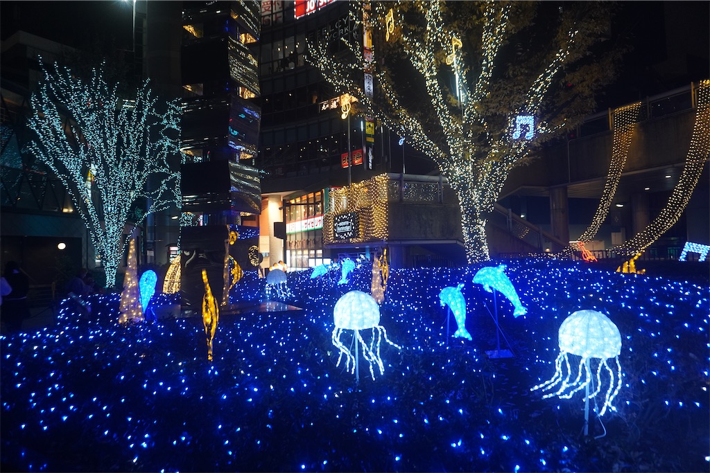 f:id:motoshidaa:20241220083613j:image f:id:motoshidaa:20241220083613j:image