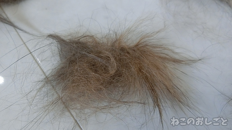 f:id:necozuki299:20190806151309j:plain f:id:necozuki299:20190806151309j:plain