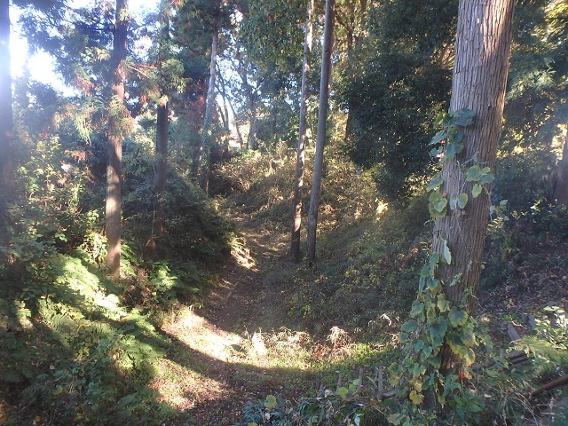 f:id:nekoyanookami:20201122140307j:plain