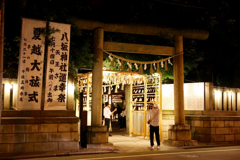 f:id:ornith:20150714152550j:plain