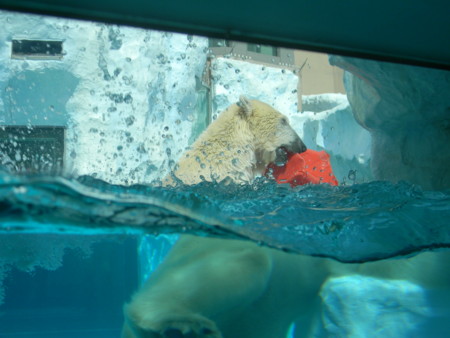 f:id:peepooblue:20120907131227j:image f:id:peepooblue:20120907131227j:image