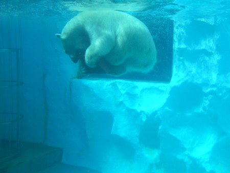 f:id:peepooblue:20120907131702j:image