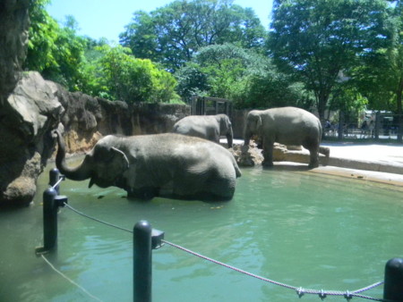 f:id:peepooblue:20150514202843j:image f:id:peepooblue:20150514202843j:image