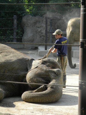 f:id:peepooblue:20150514204031j:image f:id:peepooblue:20150514204031j:image