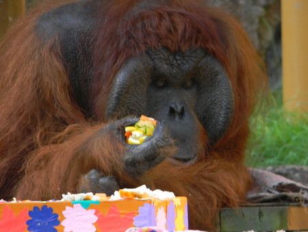 f:id:peepooblue:20180916202715j:image