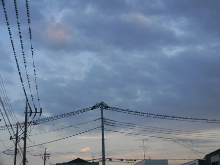 f:id:peepooblue:20180919212443j:image