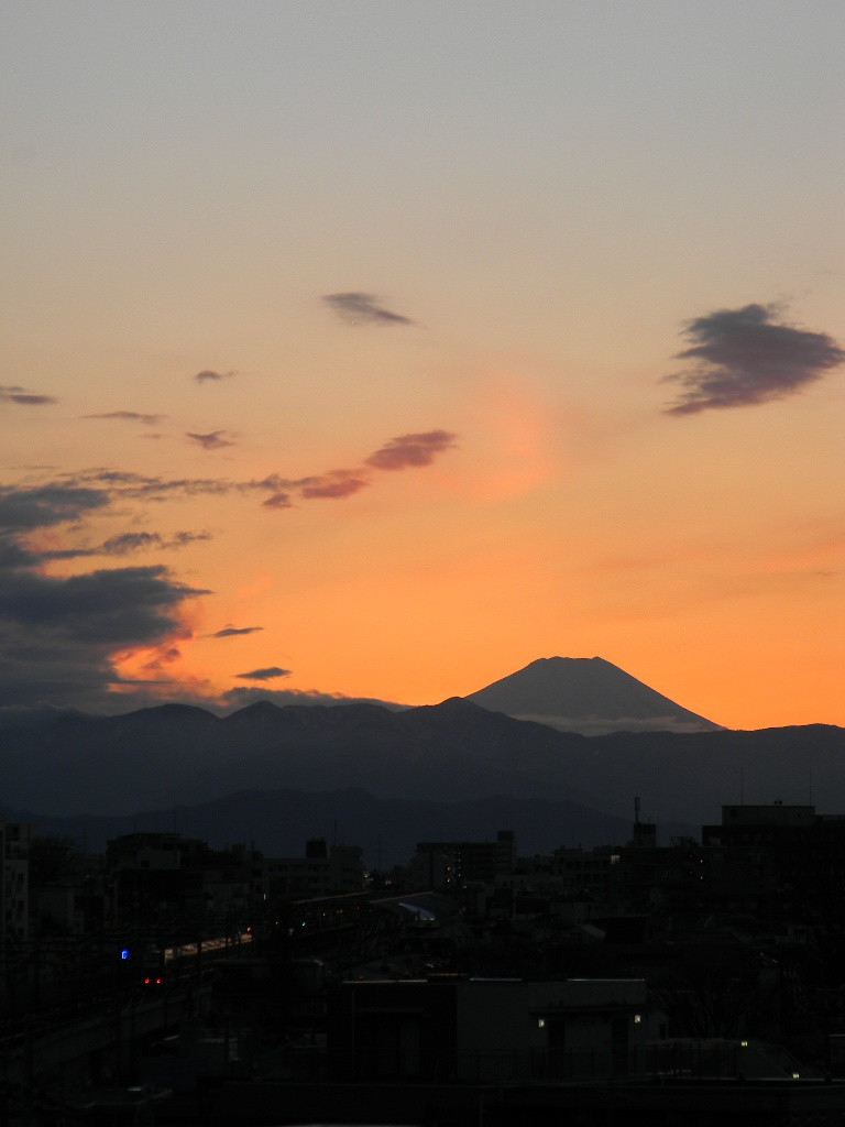 f:id:peepooblue:20210127203639j:plain