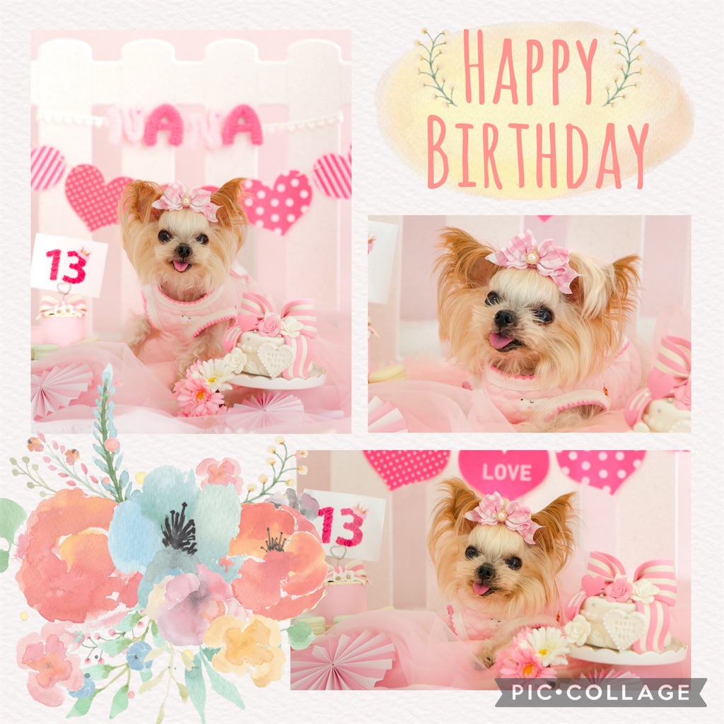 f:id:princess-v:20251225234610j:image f:id:princess-v:20251225234610j:image