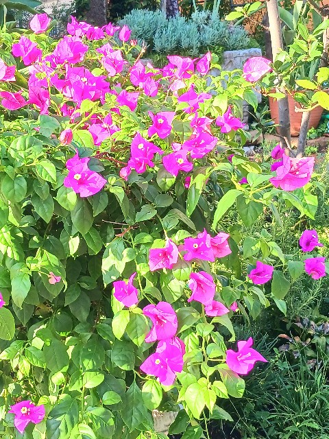 f:id:psa3103:20250820015859j:image