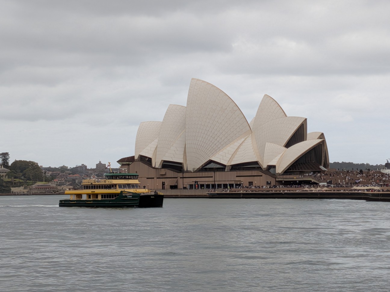 f:id:pukuchi_39:20260101203524j:image f:id:pukuchi_39:20260101203524j:image