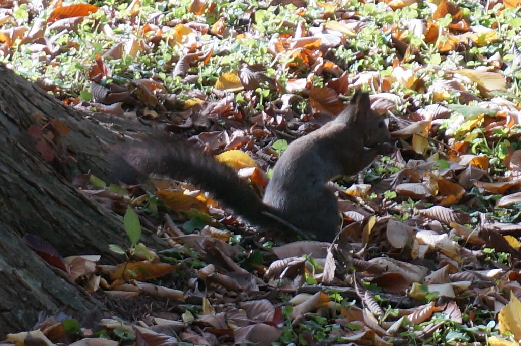 f:id:rabbits301:20171029211607j:plain f:id:rabbits301:20171029211607j:plain