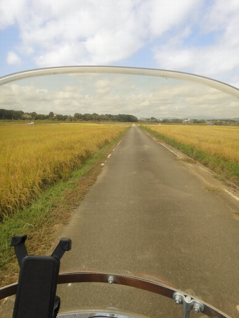 f:id:rabbits301:20191015233550j:plain