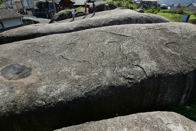 f:id:regenerationderhydra:20201004185446j:image