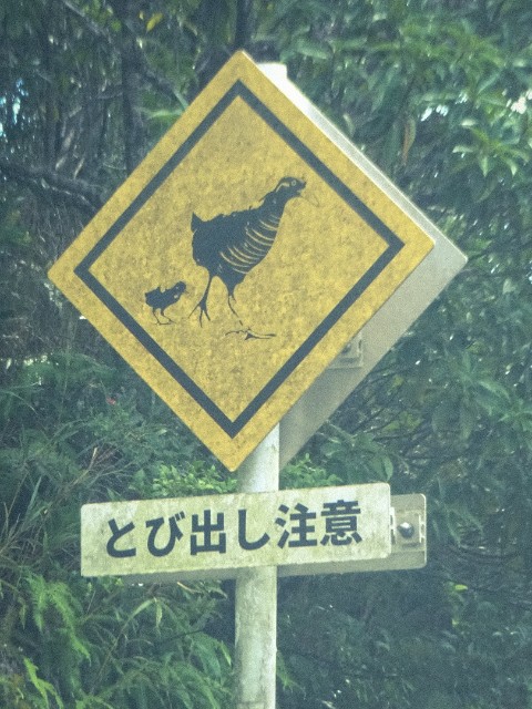 f:id:regenerationderhydra:20240921075036j:image