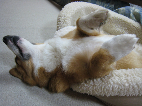 f:id:rikuzen:20080610231347j:image