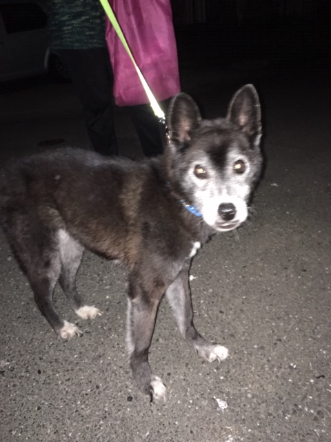 f:id:s-johnny:20190823120052j:plain