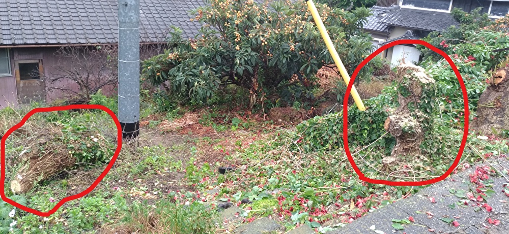 f:id:sankairenzoku10cm:20190615142845j:plain f:id:sankairenzoku10cm:20190615142845j:plain