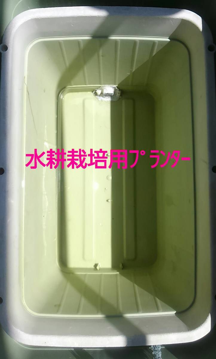 f:id:sikinomori117:20200426141945j:plain f:id:sikinomori117:20200426141945j:plain