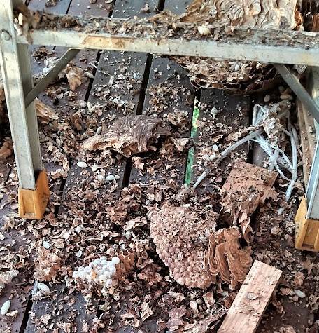 f:id:sikinomori117:20211010102559j:plain