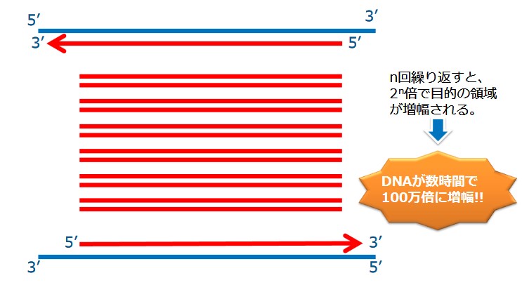 f:id:sivad:20200414183717j:plain