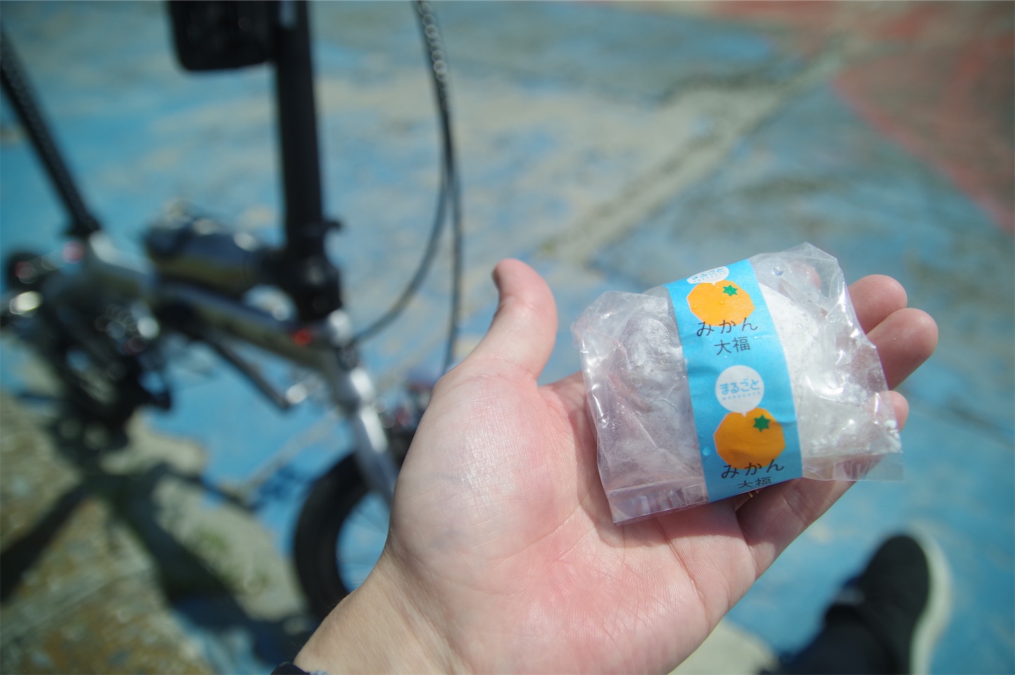 f:id:taka-xl883n:20250430184944j:image